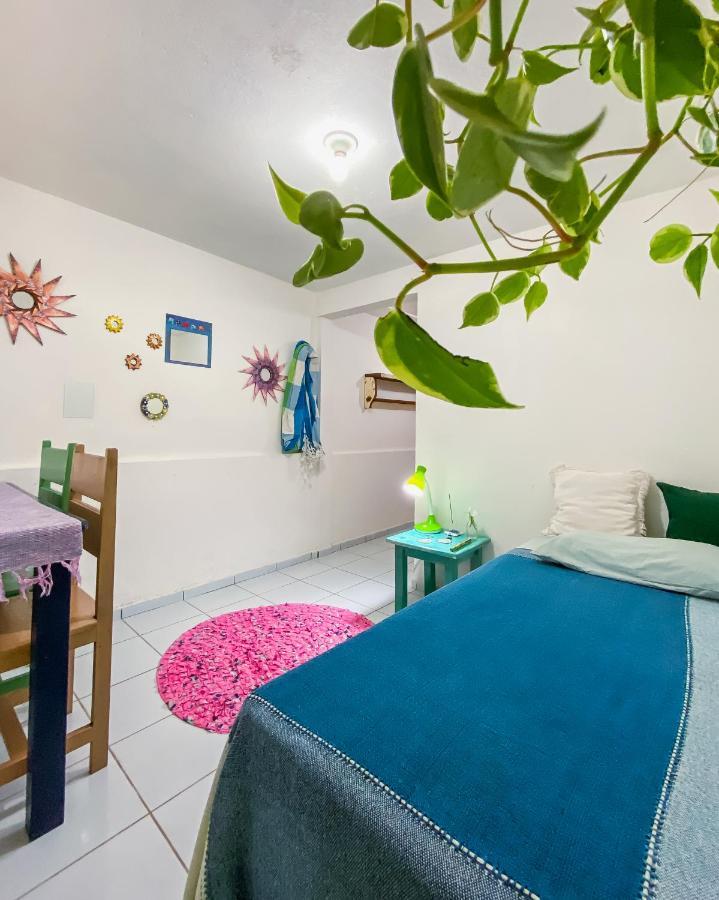 Tiny House Βίλα Praia de Pipa Εξωτερικό φωτογραφία